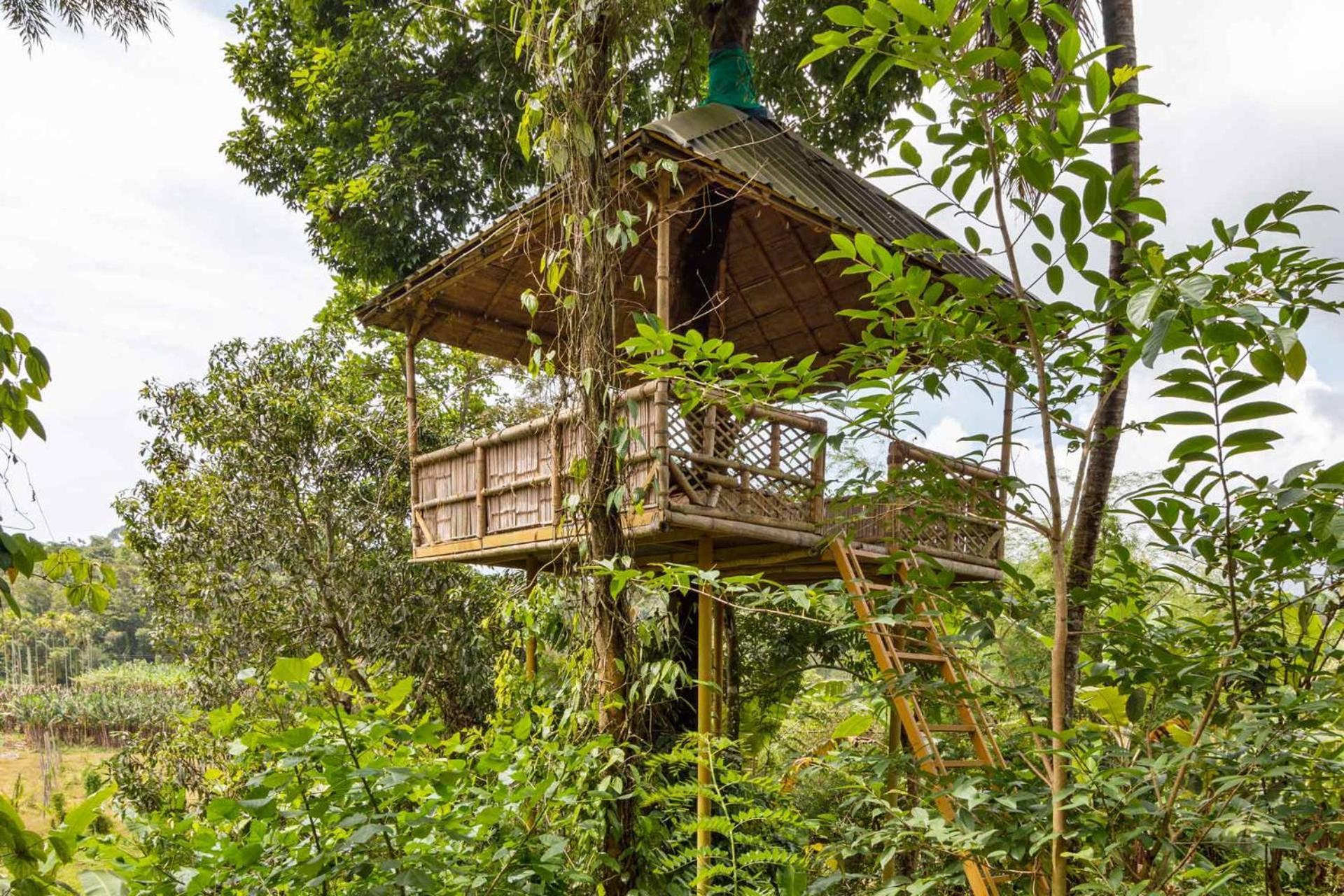Serene Valley Resort Wayanad Mananthavady Ngoại thất bức ảnh